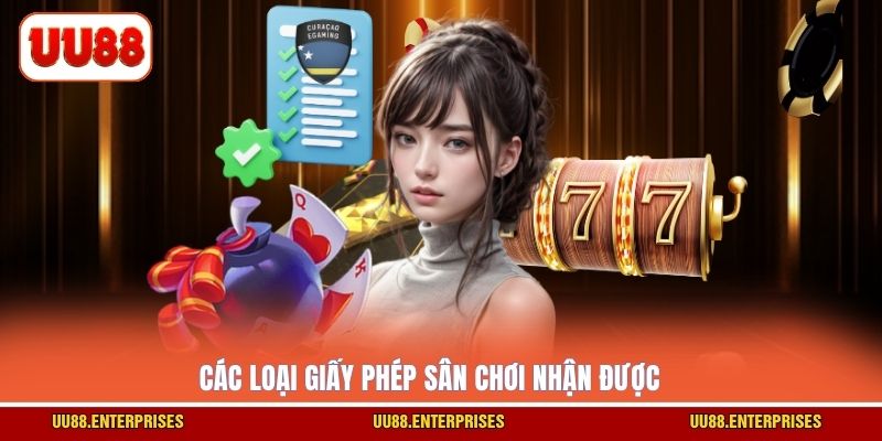 Các loại giấy phép sân chơi nhận được
