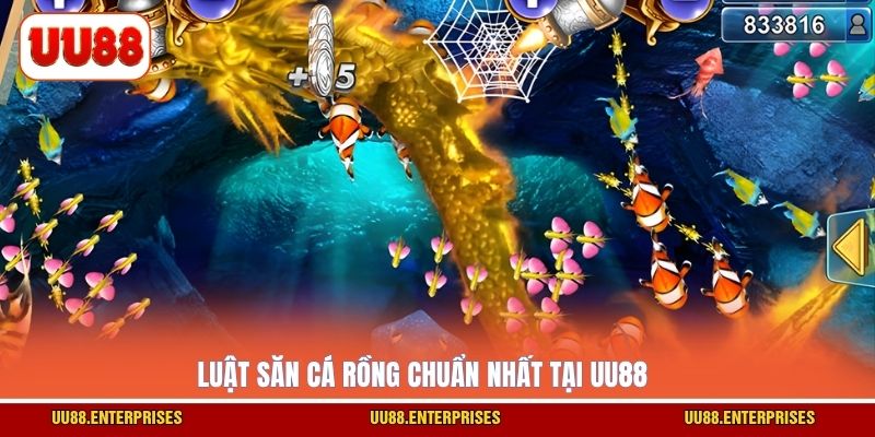 Luật săn cá Rồng chuẩn nhất tại UU88