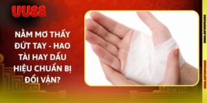 Nằm Mơ Thấy Đứt Tay - Hao Tài Hay Dấu Hiệu Chuẩn Bị Đổi Vận?