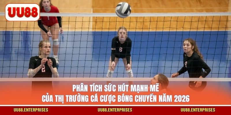 Phân tích sức hút mạnh mẽ của thị trường cá cược bóng chuyền năm 2026